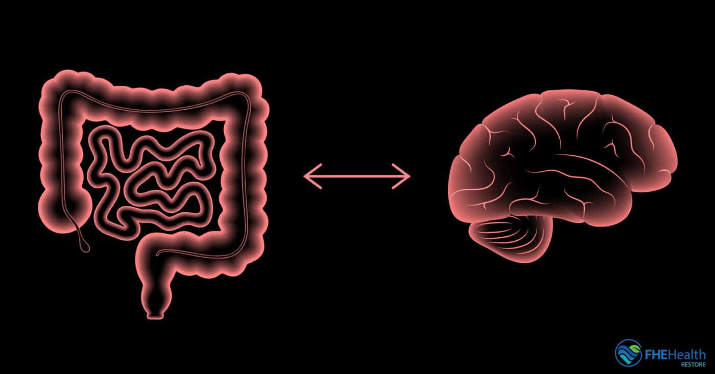 Depression and the gut-brain connection